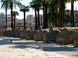 Louxor Temple Allee Sphinx Hommes 0008